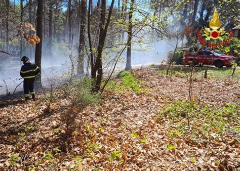 Interventi Per Il Forte Vento I Vigili Del Fuoco Della Provincia Di