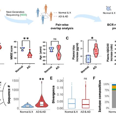 The Strategy For Longitudinal Analysis A Timeline Of The Longitudinal Download Scientific