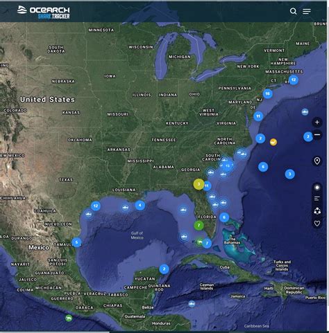 Shark Tracker Ocearch Global Shark Tracker Six0wllts