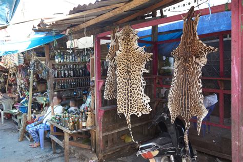 Building Evidence to Reduce Demand for Wildlife Products in Peru