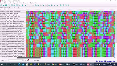 Mega X How To Construct A Phylogenetic Tree Youtube