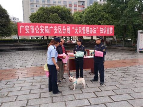 廣安多部門聯合開展 犬只管理宣傳 倡導文明養犬 每日頭條