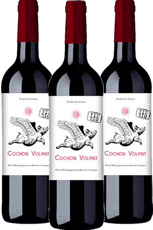 Coffret Languedoc Cochon Volant Ch Teau De Caraguilhes