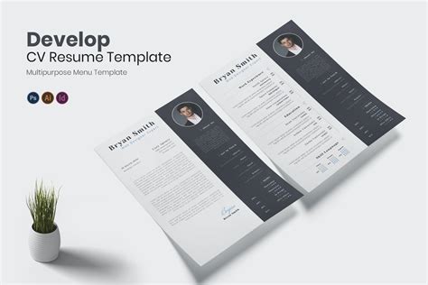 20+ Best InDesign Resume Templates (INDD CV Templates) – Yes Web Designs