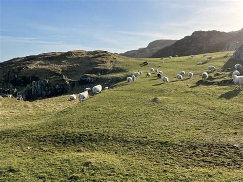 Iona, Scotland: A Pilgrimage of Place — Pilgrim at Heart