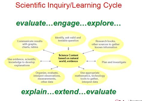 The 5e Model Science Curriculum Next Generation 7th Science Mr Coffey