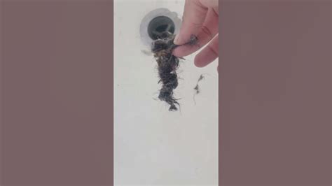 The Drain Shroom Pulls Huge Hairball Out Of Drain Cleaning Clean Youtube