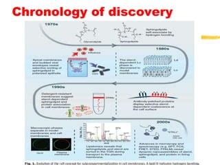 Lipid Rafts An Overview Ppt