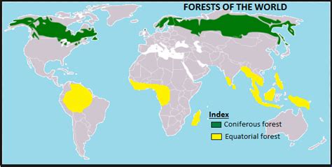 Equatorial Forest