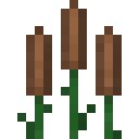 香蒲 Tall Cattail Bop 超多生物群系 Biomes O Plenty Mc百科最大的minecraft