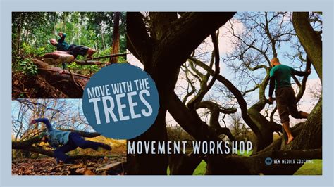 How To Flow In Trees Move With The Trees Tree Climbing Workshop