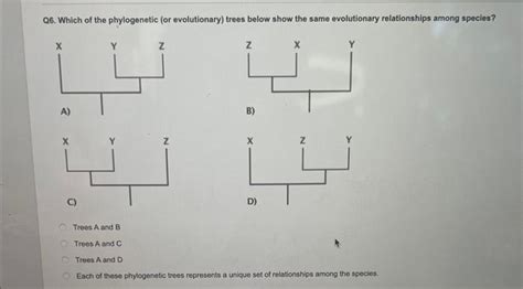 Solved 26 Which Of The Phylogenetic Or Evolutionary Trees