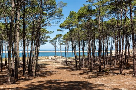 10 Best Things To Do In Landes What Is Landes Most Famous For Go Guides