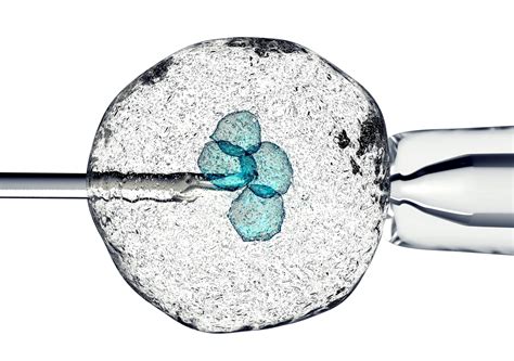 Which Protocol Is Best With A Frozen Embryo Transfer