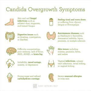 The Candida Gut Type Integrated Health Solution