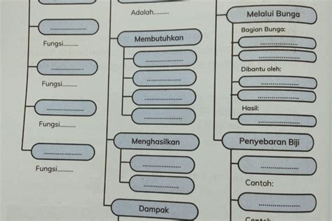 Kunci Jawaban Ipas Kelas 4 Halaman 30 Kurikulum Merdeka Peta Konsep