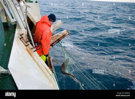 Fish net trawler catch hi-res stock photography and images - Alamy