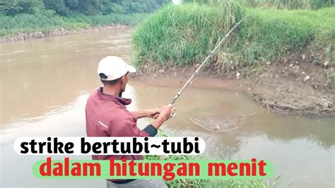 Auto Panen Ikan Mancing Sehabis Hujan YouTube