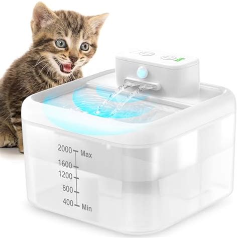 Motion Sensor Water Fountain For Cats 2024 Vet Ranch We Love Pets