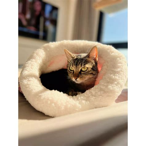 Caminha Toca Para Gatos - Caminha Toca Para Gatos Sherpa Pelucia Saco De Dormir Grande 50x45cm ...