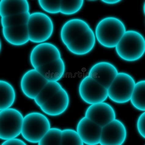 Struttura Microscopica Delle Cellule Dei Batteri Illustrazione Di Stock