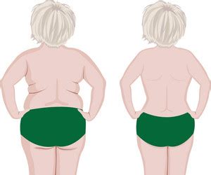 Female Body Front And Back Views Of Nude Vector Image