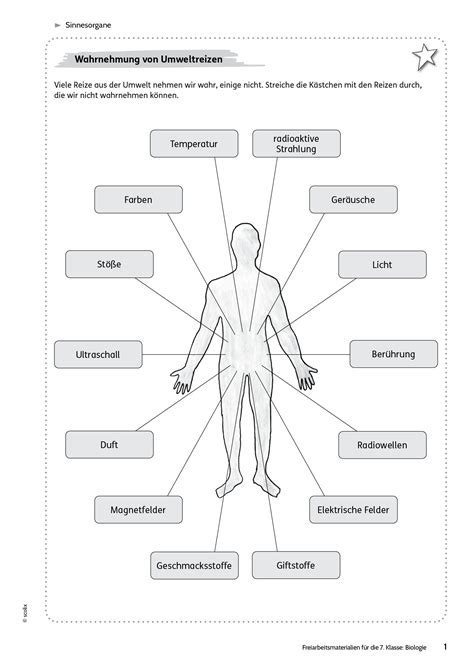 Sekundarstufe Unterrichtsmaterial Biologie Körper und Gesundheit