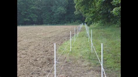 Diy Dual Perimeter Deer Fence Great Bear Blogged Pictures Library