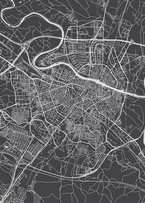 City Map Zaragoza Monochrome Detailed Plan Vector Illustration Stock