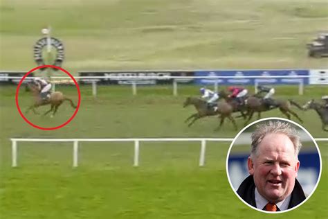 Trainer Devastated As Horse Dies Moments After Winning Biggest Race Of