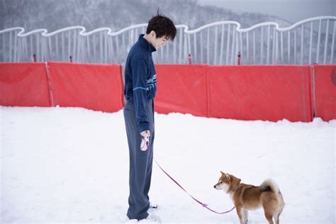 王俊凯冬日雪景大片明媚可爱 少年怀抱柴犬暖意盎然