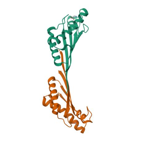 RCSB PDB 3TD3 Crystal Structure Of OmpA Like Domain From