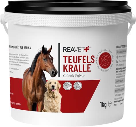 Reavet Teufelskralle Gelenk Pulver Equusvitalis Onlineshop