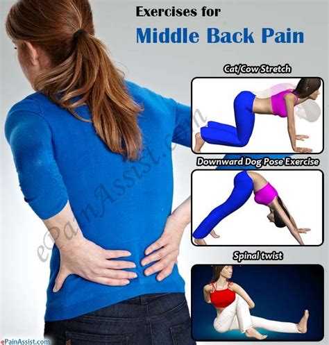 25 best Middle Back Pain Exercises images on Pinterest | Middle back ...