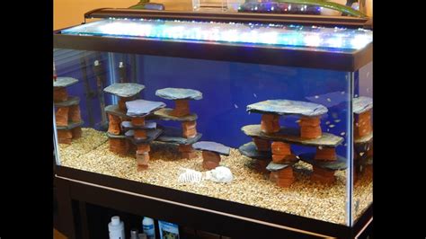 Diy Aquarium Decor Stone Terraces – Two Birds Home