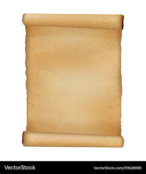 ancient paper parchment scroll realistic vector image