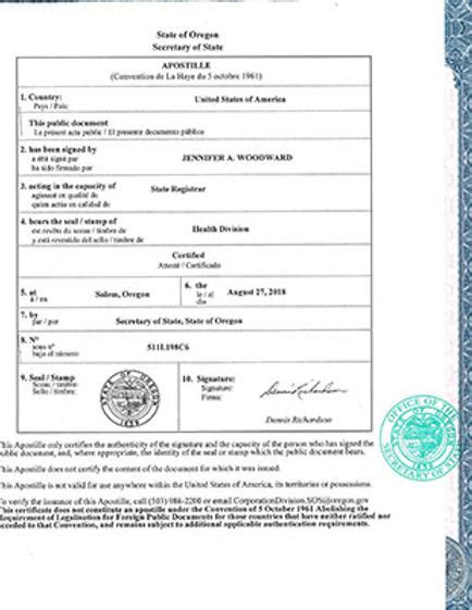 What Is The Difference Between A Notary And Apostille