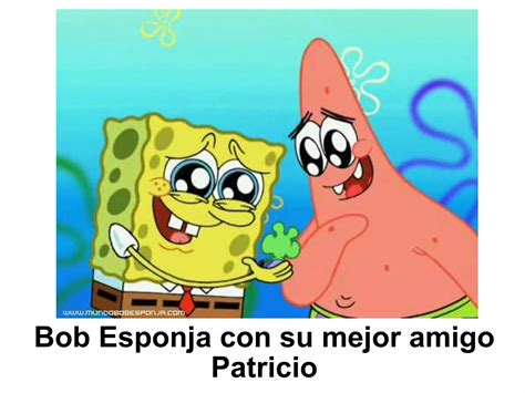 Introducir 60 Imagen Frases De Amistad Bob Esponja Abzlocalmx