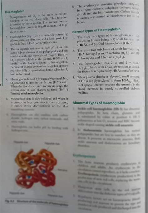 Solution Haemoglobin Notes Studypool