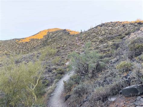 Hiking Black Mountain Trail in Cave Creek- What to expect - Karabou ...