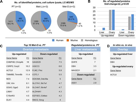 Differential proteome analysis of cultured cells. (A) Total number of ...