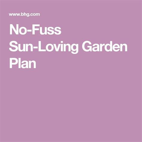 This Full Sun Garden Plan Brings Color To Your Yards Brightest Spots