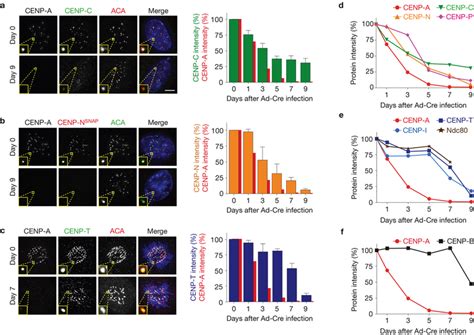 Disrupted Centromere Positioning And Kinetochore Nucleation Requires