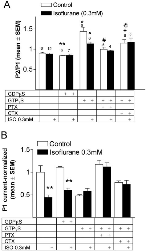 Effect Of PTX And CTX On The Isoflurane Action On N Type Ba 2 Currents