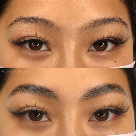 Brow Lamination Before And After Pictures Brow Lamination