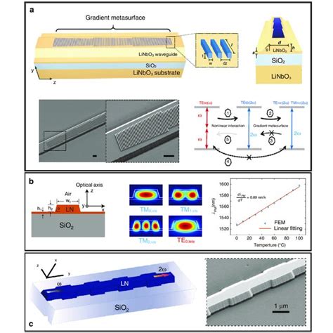 Schematic Of Both Tm A And Te B Polarization Of Ln Nanophotonic