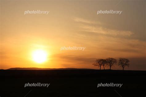 草原の夕日 写真素材 809268 フォトライブラリー Photolibrary