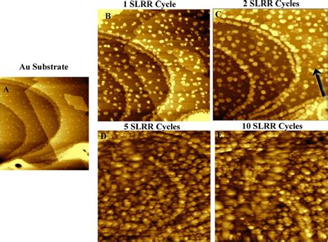 A Au Single Crystal Substrate B D In Situ Stm Images Of