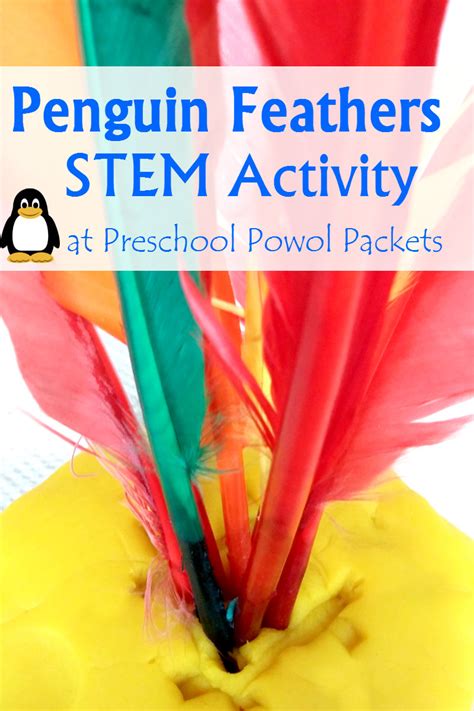 Penguin Feather Science Stem With Preschoolers Preschool Powol Packets