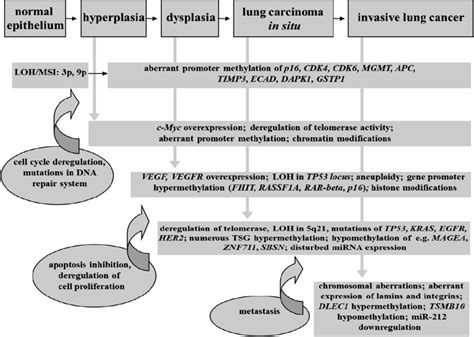 Genetic And Epigenetic Changes Observed In Lung Carcinogenesis